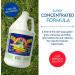 Biodegradable Dishwashing Detergent - Concentrated 1 Gallon Dish Soap | Bulk Cruelty-Free Kitchen Cleaner - Buy Online on GoSupps.com