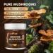 10-in-1 Mushroom Powder Mushroom Complex - Lions Mane Reishi Shiitake Chaga Turkey Tail Cordyceps Maitake & More Mushroom Supplement Powder for Energy Memory Focus & Immune Support 8oz 8oz(10 in 1) - Buy Online on GoSupps.com