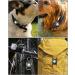 IP68 Waterproof Airtag Dog Holder - Removable Handle Compatible with Apple Airtag Keychain Pendant for Dogs - Black - Buy Online on GoSupps.com