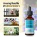 HERBAMAMA Organic Lobelia Tincture - Alcohol-Free Vegan Liquid Drops - 2 fl oz Supplement - Buy Online on GoSupps.com