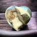 Steinfixx Large Gem Heart | Healing Crystal | Chakra & Massage Stone | Perfect Gift | Shell Jaspis - Buy Online on GoSupps.com
