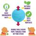 Chew King Fetch Balls Pack of 3 - Durable Dog Toy Balls - Buy Online on GoSupps.com