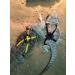 Soft Suede Adjustable Reptile Lizard Harness Leash Adjustable Light Soft Fashion (Yellow) - Buy Online on GoSupps.com