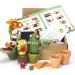 Woolbuddy Needle Felting Kit Cactus - Beginner Adult DIY Crafts Set with Needles, Wool, Foam Pad, Clay Pots & Instructions - Buy Online on GoSupps.com