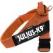 Julius-K9 XL Orange-Grey Belt Harness | Durable & Comfortable Dog Harness for International Shipping - Buy Online on GoSupps.com