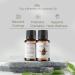 Cinnamon Oil - Premium Essential Oil from Sri Lanka | Bulk Aromatherapy Oils for Diffusers (8oz - Buy Online on GoSupps.com