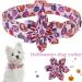 Shop Aring Pet Halloween Dog Halison Band - Pink Pumpkin Design for All Sizes | Cotton Flower Band & Lamp - Buy Online on GoSupps.com