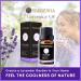 Pure Lavender Oil - Therapeutic Grade Essential Oil for Diffuser Skin Care Hair Growth Aromatherapy & Relaxation - 10mL - Buy Online on GoSupps.com