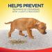 Resolve Pet Specialist Urine Destroyer - Stain & Odor Remover 32 Fl Oz | Best for Pet Accidents - Fast Shipping Internationally - Buy Online on GoSupps.com