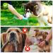 Large 19oz Portable Dog Water Bottle Dispenser with Food Container - Blue - Buy Online on GoSupps.com