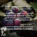 Premium Resveratrol Plus High Strength - 500mg Trans-Resveratrol & Quercetin Formula | Made in Germany | 60 Capsules - Buy Online on GoSupps.com