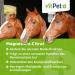Vitpet+ Magnesium Citrate for Horses | Premium 500g Powder for Muscle & Nervous System Support with Dosing Spoons - Buy Online on GoSupps.com