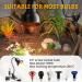 Luxvista 25W Tortoise Heat Lamp with 360 Rotatable Clip | UVA UVB Basking Light for Reptiles | Ideal for Turtle, Lizard, Snake, Aquarium | 2 Bulbs Included - Buy Online on GoSupps.com