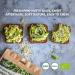 LOOV Organic Raw Shelled Hemp Seeds Hemp Hearts 1kg Not Heat-Treated All Nutrients Preserved Nutty Flavour Organically Grown in Nordic Climate Good Source of Protein and Omega Fatty Acids - Buy Online on GoSupps.com