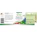 Fairvital | Vitamin B5 pantothenic acid 200mg - 8 months cure - VEGAN - High dosed - 250 tablets - Buy Online on GoSupps.com