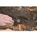 Linsor Turtle Soil - Natural Fertilizer-Free Substrate for Tortoises & Reptiles | 50 Liters - International Shipping Available - Buy Online on GoSupps.com