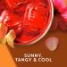 Tazo Herbal Iced Passion Tea - Caffeine-Free - 6 Bags | 2.85 oz - Buy Online on GoSupps.com
