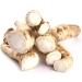 Fresh Horseradish for Horses - 2nd Class Quality (1000g) | Buy Now for International Shipping - Buy Online on GoSupps.com