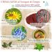 Natural Hand Cream Dragon Blood Arnica and Devil's Claw Organic Moisturising for Dry Hands 100 ml - Buy Online on GoSupps.com
