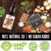 ANUMED Vitamin D3 + K2 Liquid Drops with Organic MCT Oil | 5000 IU | Vitamin A 1250mcg | Promotes Heart, Bones, and Immune System | Vegan, Non-GMO, Gluten-Free | 2oz - Buy Online on GoSupps.com