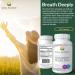 Natural Antihistamine Supplement for Allergies - Histamine Shield Plus - 120 Capsules - Buy Online on GoSupps.com
