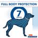 Hartz UltraGuard Flea & Tick Collar for Dogs, 7-Month Protection, White - Up to 15 Inch Neck - Buy Online on GoSupps.com