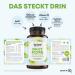 Daily Flora 120 Capsules - Vegan Probiotic Complex with B2 7 Bacterial Strains Lactobacillus & Bifidobacteria - International Shipping - Buy Online on GoSupps.com