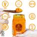 Truly Turmeric - Fresh Wildcrafted Whole Root Turmeric Paste | Non-GMO Vegan & Keto Spice for Cooking and Golden Milk - 8oz (235g) with Black Pepper - Buy Online on GoSupps.com