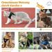 Supet Cat Dishes: Soft Yellow Cat Vest for Kittens & Small Dogs (M 33-38 cm) | International Shipping - Buy Online on GoSupps.com