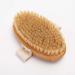 Dry Brushing Body Brush Set - Exfoliate for Healthy Skin - Includes Massaging Body Brush, Long Handle Back Brush, and Face Brush - Buy Online on GoSupps.com