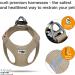 Weste Harness Air-Mesh Tan 3XS - Curli D-Ring Buckle f r komfortable Hundegeschirre | Internationaler Versand - Buy Online on GoSupps.com