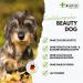 4-Legged Beauty Dog Multi-Vitamin | MSM Omega 3 B Complex & More | Premium Canine Health Formula - Buy Online on GoSupps.com