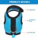 2 Pieces Guinea Pig Clothes Baby Ferret Rats Hamster Soft Mesh Harness Leash Vest Set with Bell for Guinea Pigs Hamster Ferret Rabbit Chinchilla and Similar Small Animals Small Blue Black - Buy Online on GoSupps.com