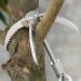 Large Folding Stainless Steel Grappling Hook for Outdoor Survival, Camping, Hiking - 4-Claw Grapple Hook for Tree & Mountain Climbing - Buy Online on GoSupps.com