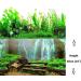 Hidom Aquarium Background Poster Double Sided - Height 19" / 50cm - Length 4 FT / 122cm - Two Scenic Pictures displaying Aquatic Backdrops - DS 500-9038/9062 Length 4 FT (122cm) - Buy Online on GoSupps.com