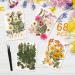 Pressed Flower Glass Frame with Real Dried Flowers, Tweezer - Handicrafts & Photo Display - Buy Online on GoSupps.com