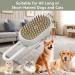 3-in-1 Cat Steamy Brush for Grooming and Hair Removal - Pet Hair Comb for Tangled and Loose Hair - Buy Online on GoSupps.com