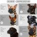 BONTHEE Dog Muzzle Mesh Soft Muzzle for Small Medium Large Sized Dogs Breathable Reflective Adjustable Puppy Muzzles with Collar for Scavenging Grooming Biting Chewing Allows Panting and Drinking XXL - Buy Online on GoSupps.com