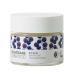 BIO:VEGANE SKINFOOD Organic Acai 24 Hour Care For Combination Skin 1.8 oz (50 ml)