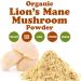 Food to Live - Organic Lion's Mane Mushroom Powder 1 Pound - Elevate Your Brain Wellness with Premium Non-GMO Natural and Vegan Superfood to Better Focus 16 Ounce (Pack of 1) - Buy Online on GoSupps.com