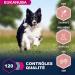 Eukanuba Senior Adult Dog Dry Food For Small and Medium Breeds Lamb & Rice 2.5kg - Buy Online on GoSupps.com