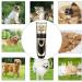 Qingxian Dog Clippers Pet Grooming Clipper Kits Low Noise Rechargeable Cordless Quiet Cat Dog Groomer Tool Professional Hair Trimmer Razor Blades with Combs Scissor - Buy Online on GoSupps.com