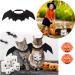 Halloween Pet Bat Wings Cat Halloween Costume Cat Costume Cute Cat Halloween Bat Wings Adjustable Pet Costumes Pet Halloween Bat Wings Costume for Cat Dog Bat Costume. - Buy Online on GoSupps.com