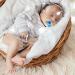 Nuby 985876 Geo Pacifier | Jaw-Friendly Silicone Teat | Multi-Coloured | International Shipping - Buy Online on GoSupps.com