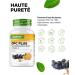 Grape Seed Extract OPC + Natural Vitamin C - 365 capsules for 12 months - Highest OPC content according to HPLC - Laboratory tested from European grapes - Vegan - Buy Online on GoSupps.com