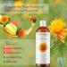 Plant Guru Safflower Oil 8 fl. oz. Cold Pressed 100% Pure & Natural Carrier for Skin Face Body Hair and Cooking. Great for DIY Creams Lotions and Lip Balms. - Buy Online on GoSupps.com
