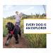 Buy RUFFWEAR Front Range Dog Harness | Reflective Padded No-Tug Twilight Grey XS - Best for Small Dogs - Buy Online on GoSupps.com