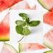 RAW SUGAR Watermelon & Mint Body Wash - Moisturizing, Refreshing, Sulfate-Free (Pack of 3) - Buy Online on GoSupps.com