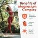 Magnesium Glycinate 500mg Complex - Magnesium Supplement Capsules for Sleep and Calmness - Non-GMO 3rd Party Tested - 150 Pills for Women & Men by ForestLeaf - Buy Online on GoSupps.com