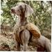 OneTigris CAMELUS Dog Backpack - Tear-Proof Camping & Hiking Pack for M/L Size Dogs in Coyote Brown - Buy Online on GoSupps.com